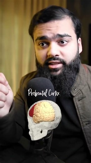 The Lying Forehead | Quran & Modern Brain Science