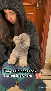 Like hooman, like doggo | Barked