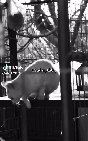 ATC Nico - Black Cloud 🖤