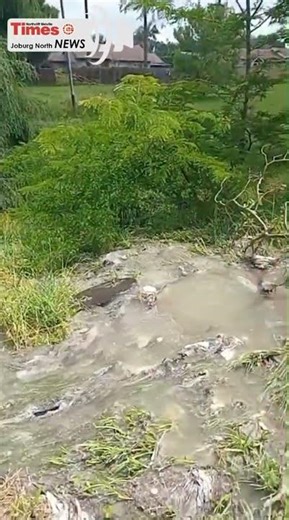 Sewage overflows into a water stream