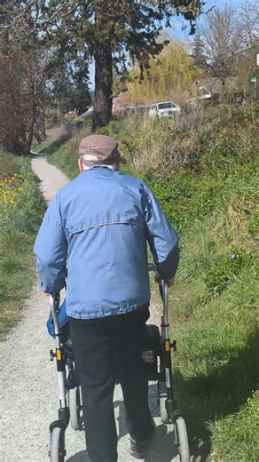 a walk along Pat Bay...