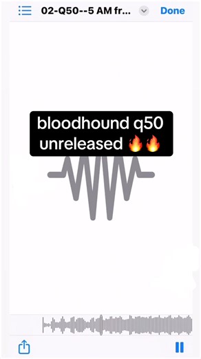 oooo😮‍💨🔥 Lmk if you want it #bloodhoundq50 #unreleased #fire #rap #fyp