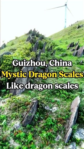 These “Dragon Scales” in China Don’t Look Natural
