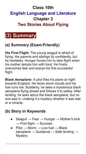 Two Stories about Flying Class 10 Summary, Story Explanation in Keywords, English Chapter 3