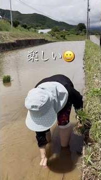長野移住2年目 人生初の田植え経験 田舎生活
