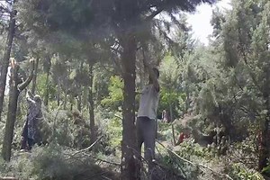 362K views · 6.4K reactions | کل ایک تینوا ڈی سی بڈگام کے رہائشی...