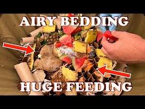 Add Air To Your Worm Bin With This Structured Bedding | Vermicompost Worm Farm
