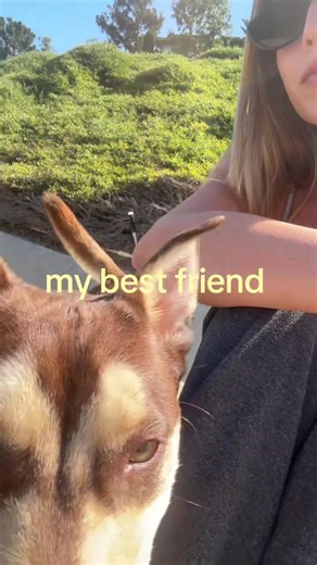 Courtney Moore (@courtneylanemoore)’s videos with original sound - ss