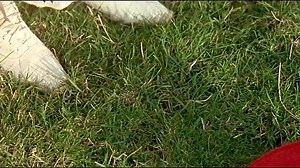 Far From the Madding Crowd (John Schlesinger, 1967)