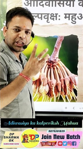 Mahua tree, the wish-fulfilling tree of the tribals #dpsharma @johargurukul