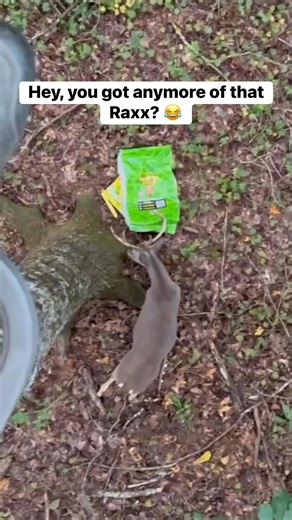 3.4K views · 42 reactions | I think he wants more?  #deerhunting #bucks #bowhunting | Advanced Wildlife Solutions | Facebook