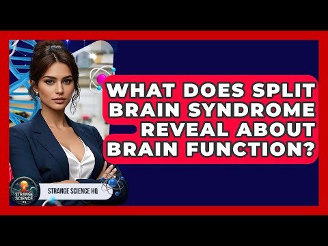 What Does Split Brain Syndrome Reveal About Brain Function? - Strange Science HQ