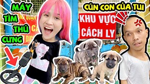 497K views · 10K reactions | Đi Dò Kho Báu Phát Hiện Bầy Cún Con - Vê Vê Channel | Vê Vê Channel | Facebook