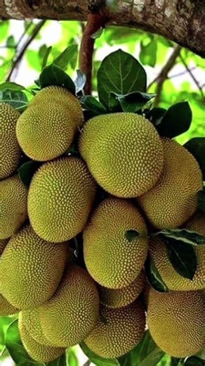 Jgn biarkan dirimu menyimpan kebencian terhadap siapapun tdk ada gunanya cm mengotori hati sj