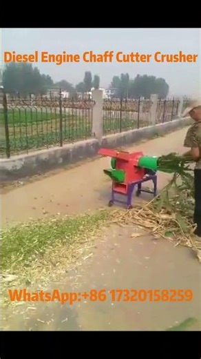 Chaff Cutter & Grass Crusher Machine with Diesel Engine | Powerful Farm Equipment#chaffcutter