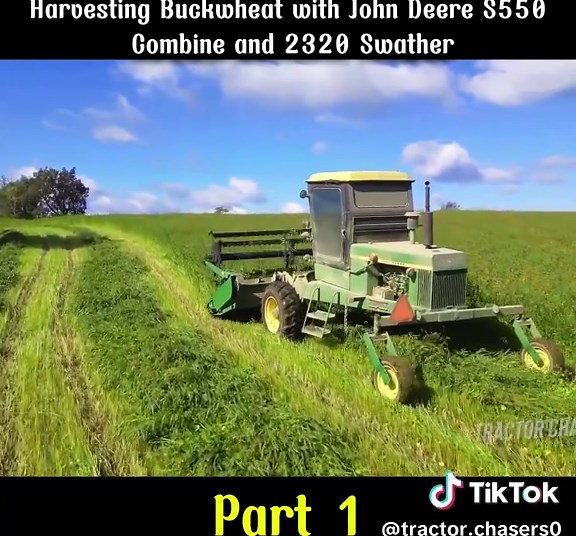 #Harvesting #Buckwheat #John #Deere #S550