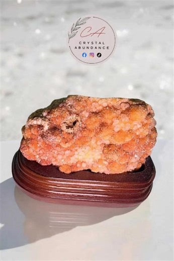 This breathtaking Golden Healer specimen cluster is a true gift from the earth, featuring radiant golden iron-oxide veils flowing through clear quartz points. With its natural quartz point inclusions, this piece amplifies healing energy while grounding and cleansing its surroundings. Golden Healer is treasured for its ability to restore balance, uplift the spirit, and attract abundance, making this cluster perfect for meditation spaces, healing rooms, or crystal altars. Each formation is one of 