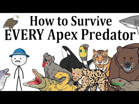 How to Survive Every Apex Predator