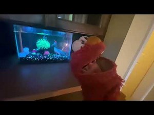 elmo world dogs intro