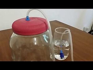 How to Make an Airlock for a Fermentation Jar