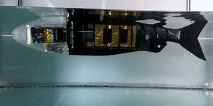 Artificial muscles – lighter, safer, more robust