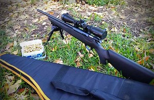 Tips for Hunting with a .22 Bolt Action Rifle. - Survival Jar