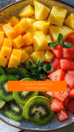 #tej #lehetőség | Csibi Krisztina