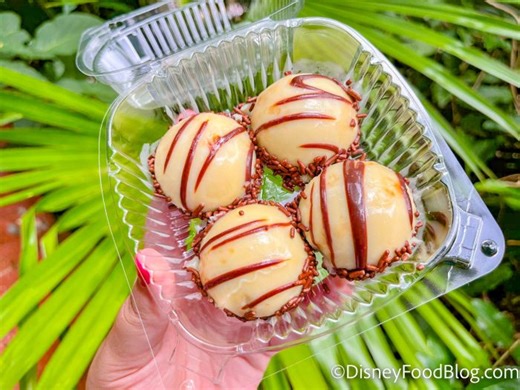 The BEST Counter Service Restaurants in Disney World in 2026 | the disney food blog