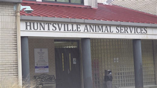 Microchip company shuts down, leaving many without a way to track their pets