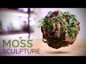 I Built a Floating 🌍 Terrascape (Moss Sculpture Terrarium)