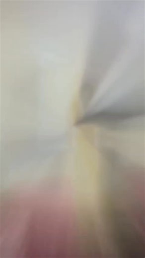 Department of Computer Science with AI Organized World Computer Day Celebration | Kamaraj Women's College