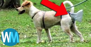 Top 10 Inventions for Lazy People | Articles on WatchMojo.com