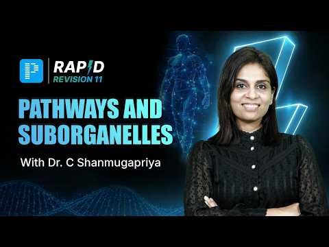 Version XI Rapid Revision Sample Video | Pathways & Suborganelles By Dr. Shanmugapriya
