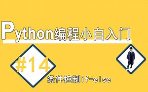 #14条件控制if-else【Python编程小白入门】