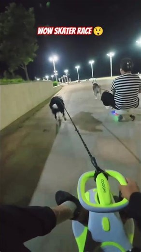 Night Dog Racing POV 🐕🔥 | Husky Pulling Ride Car at Full Speed #dog #pov #pets