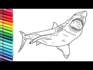 How to Draw Shark - Drawing and Coloring the Great White Shark for Children - Shark Color pages