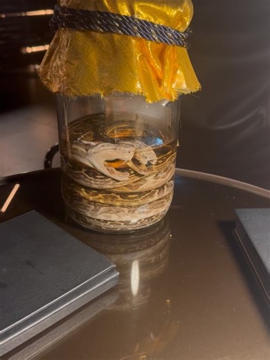 Shakey Graves on Reels