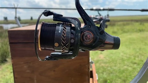 Best Sounding Fishing Reel: Reel Big Fishy