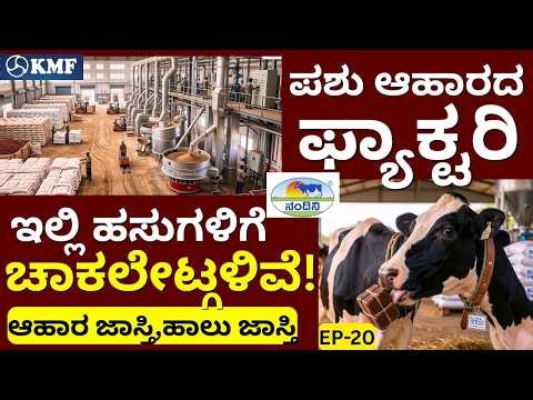 "ವರ್ಷಕ್ಕೆ 80,000 ಮೆಟ್ರಿ ಟನ್ ಪಶು ಆಹಾರ ತಯಾರಾಗುತ್ತೆ"!|KMF||Nandini Milk||EP-20