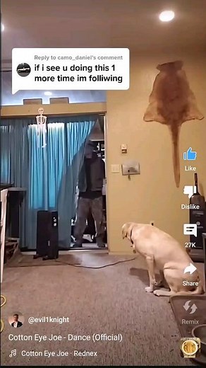 Cotton Eye Joe - Dance (Official)