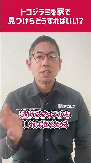 トコジラミを家で見つけたらどうすればいい？ #教えて駆除ザウルス