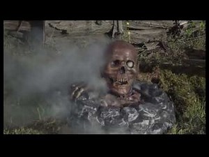 Campfire Zombie - Online Video