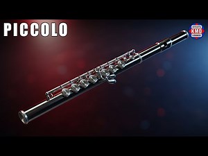 🎶 PICCOLO SOUND - MUSICAL INSTRUMENT SOUNDS - The Best Sound Effects