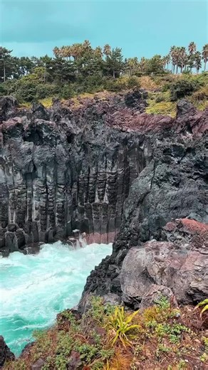 済州島🇰🇷この海に癒されて済州島🇰🇷この海に癒されて海の音を聞いて私の大衆旅行攻略私の旅行日記すべてを癒してくれる海大衆旅行済州島旅行人文観光分かち合い旅行