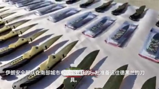 伊朗安全部队在南部城市布什尔截获的一批准备运往德黑兰的刀具。