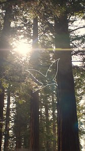 Discover the beauty of the forest all year round, with the people you love most. | Center Parcs UK