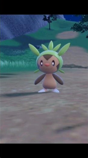 Chespin's evolution 🍃🍃💚💚