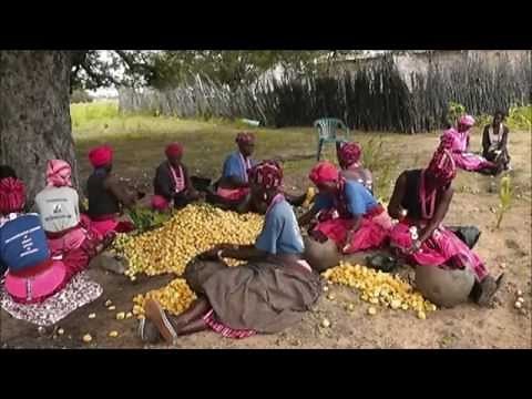 Oshituthi shomagongo, marula fruit festival