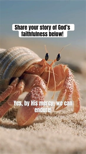 God is FAITHFUL! #faithful #jesuschrist #christianmusic #worshipmusic #familyworship