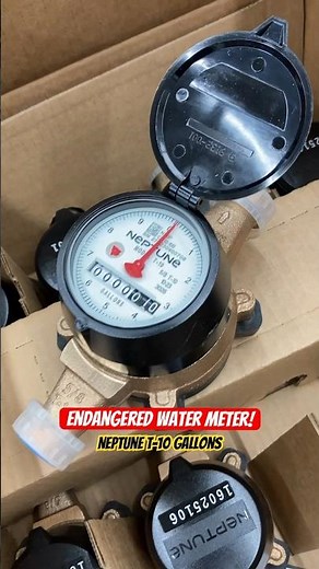 Neptune T-10 Gallons 🚨 Endangered water meter